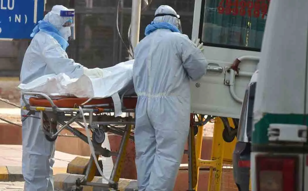 indias highest corona count in 24 hours