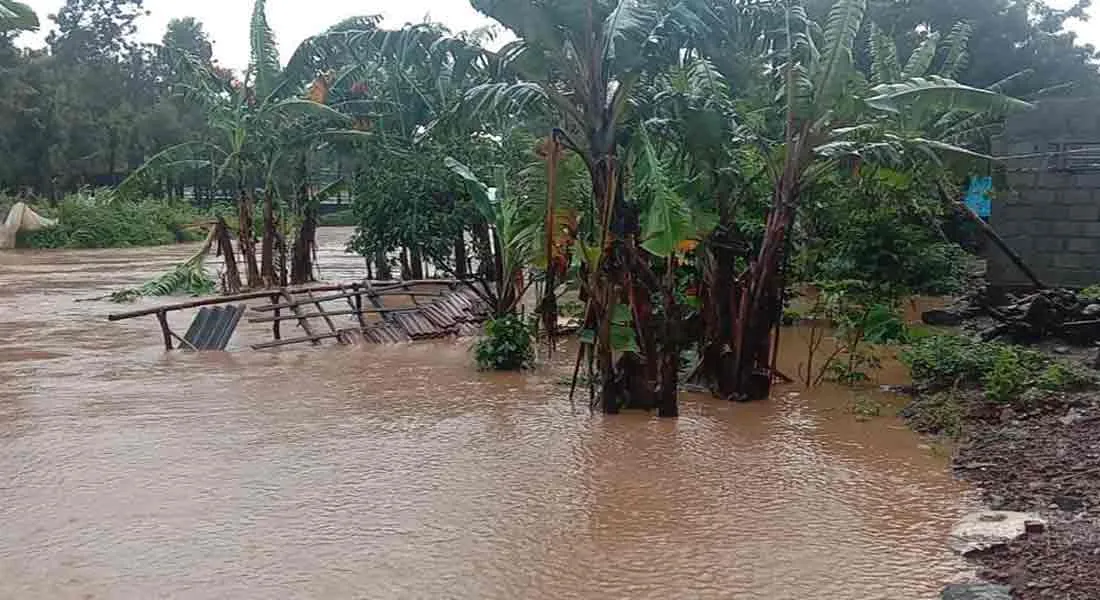rain weather in nilgiris
