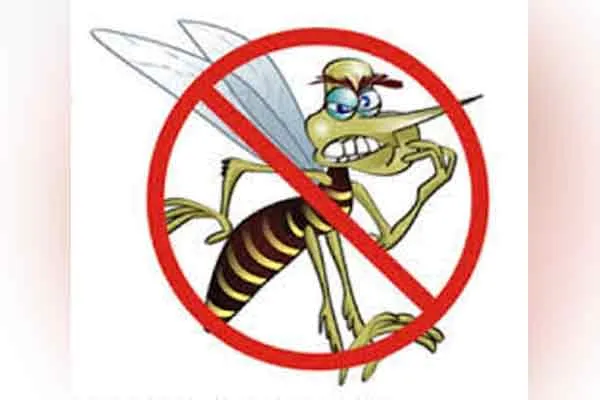 What are the measures to prevent dengue fever?