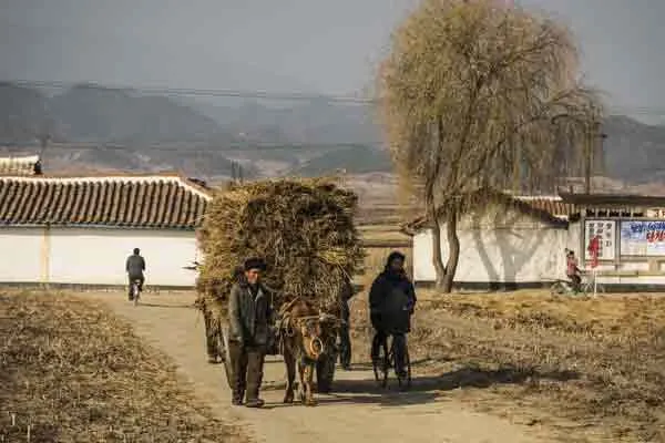 political history of north korea