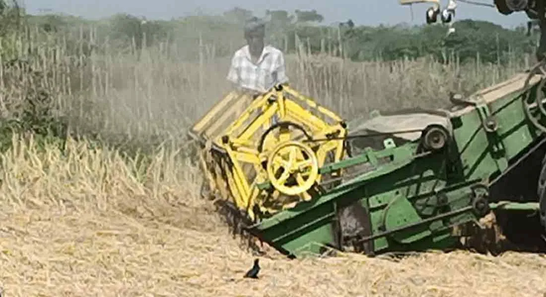  Farmer in pain