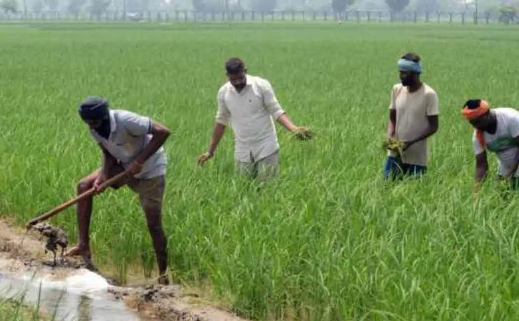 punjab passes bill against farm laws