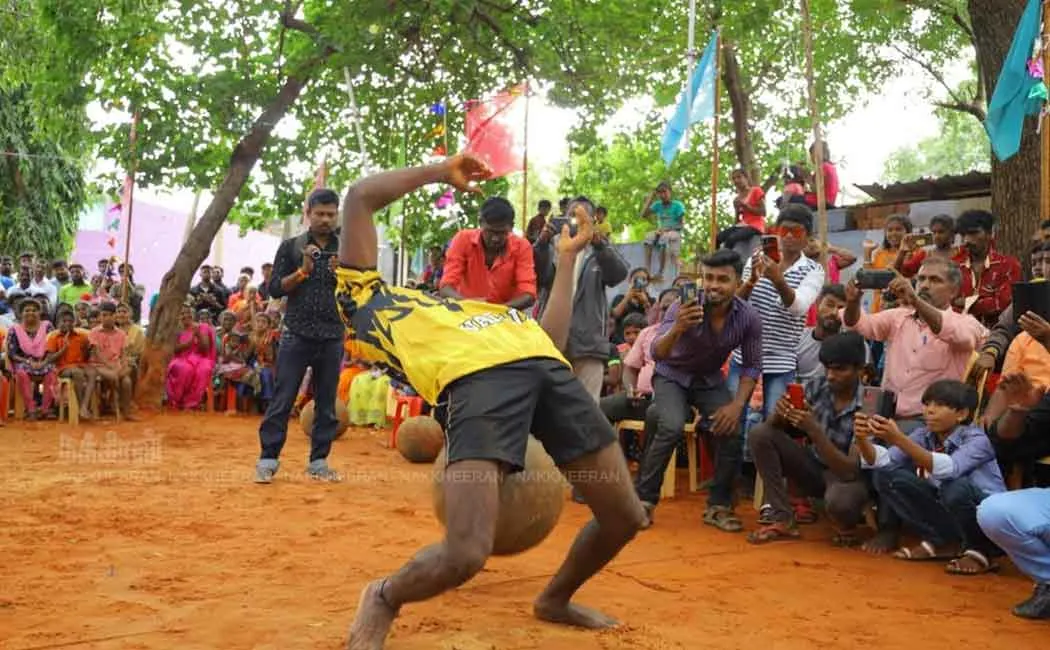 pongal sports and celebrations in thirunelveli