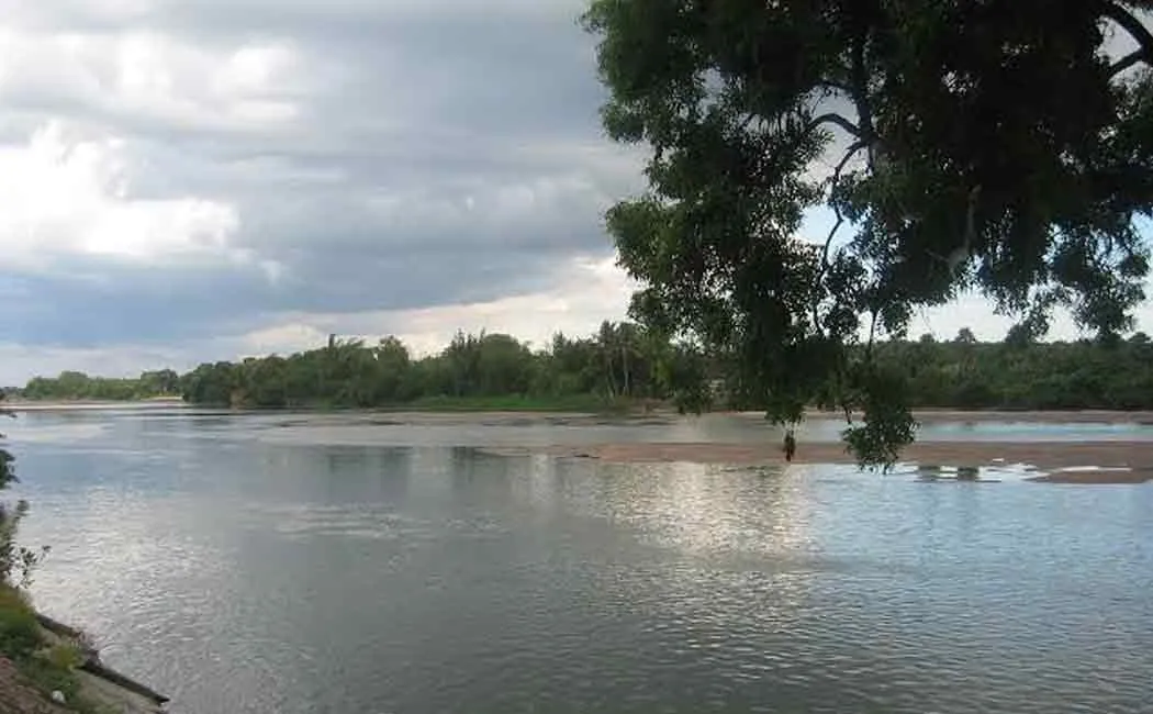 cuddalore man drowned in river