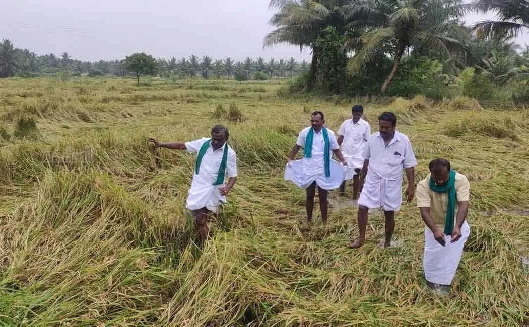 p.r. pandiyan about damages in delta districts