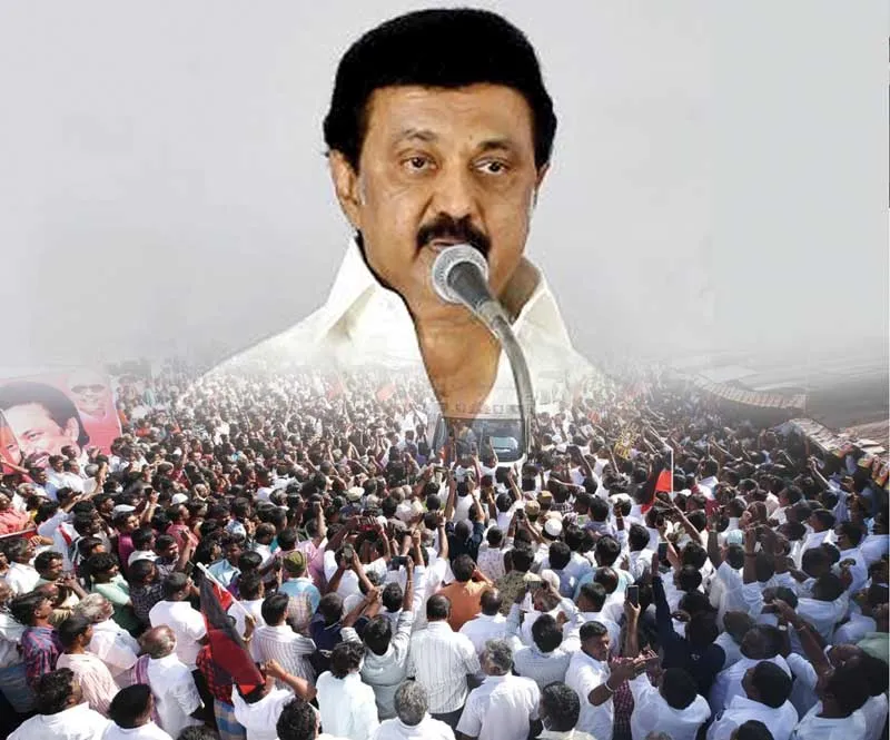 dmk1year