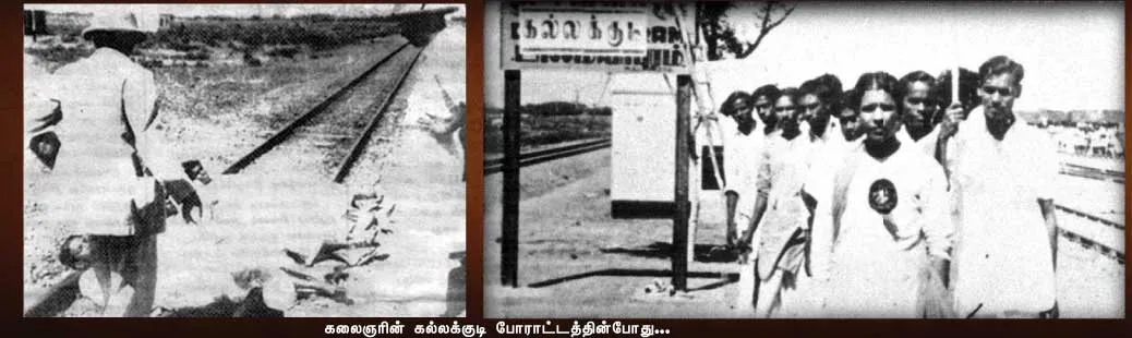 dmk