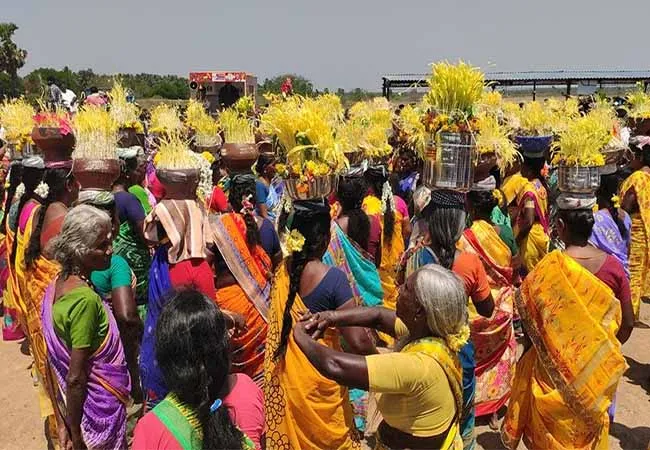 Sprouting festival weeded out due to reduced corona restrictions!