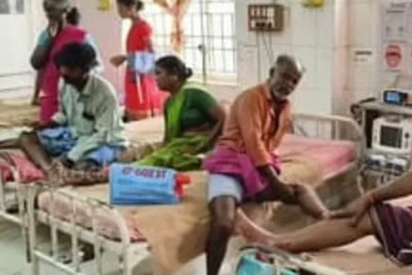 14 people were admitted to the hospital on Increasing stray dog ​​nuisance