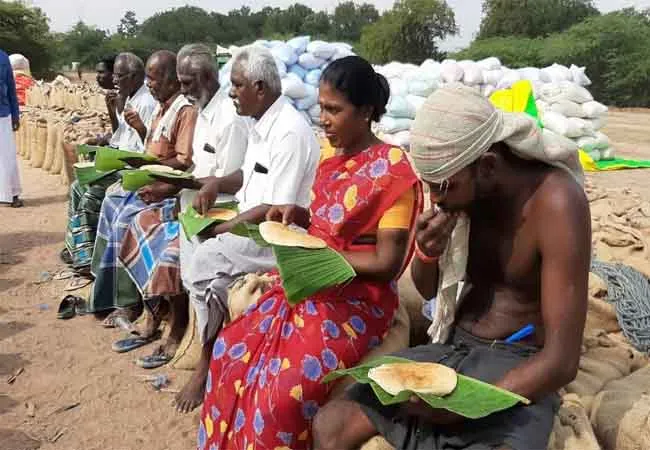  Back to the traditional field  dosa sivagangai district 