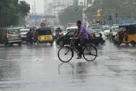 rain 