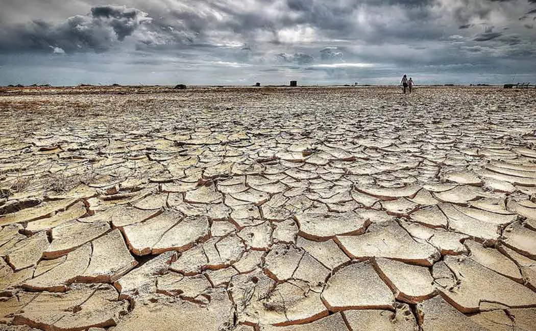 Answer to the farmers department for farmers who asked for drought relief