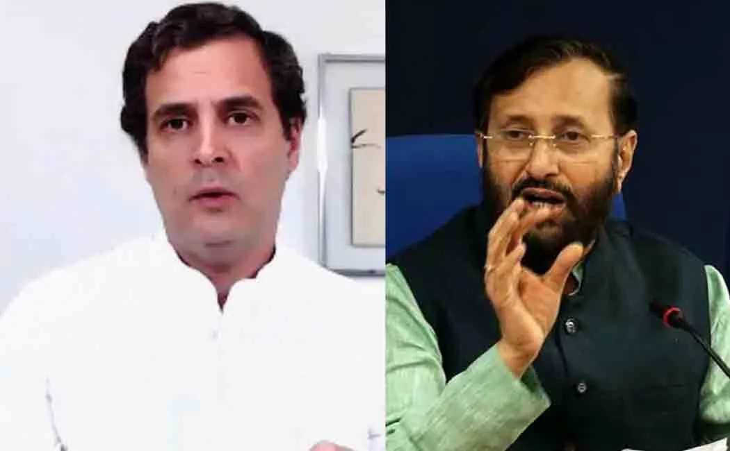 prakash javadekar reply to rahul gandhi
