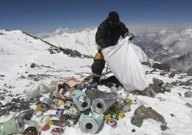 Everest mount