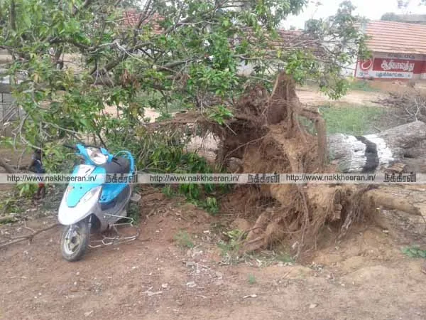 vehicle accident