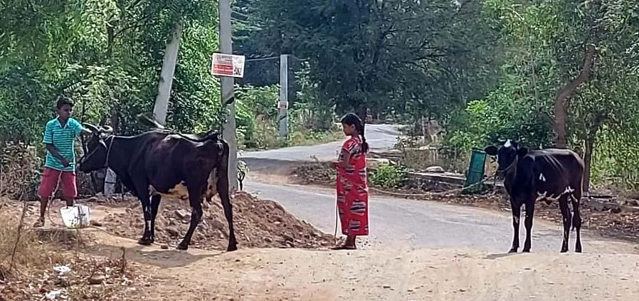 corona virus situation in village