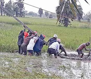 electricity board workers