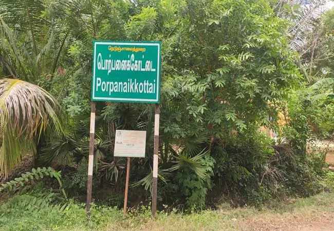 Electromagnetic wave study for Porpanaikottai excavation ...   Discovery of cat footprint brick!