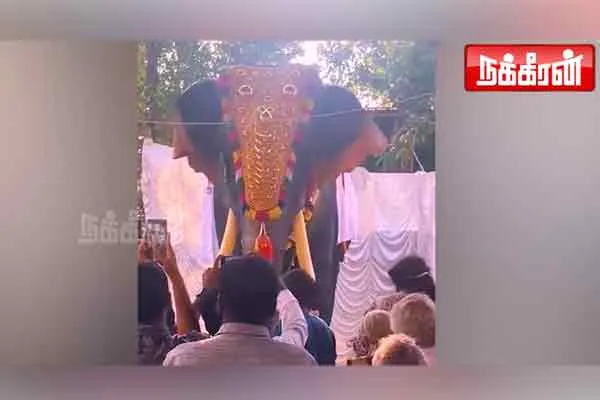 kerala thrissur krishna temple robo elephant viral video