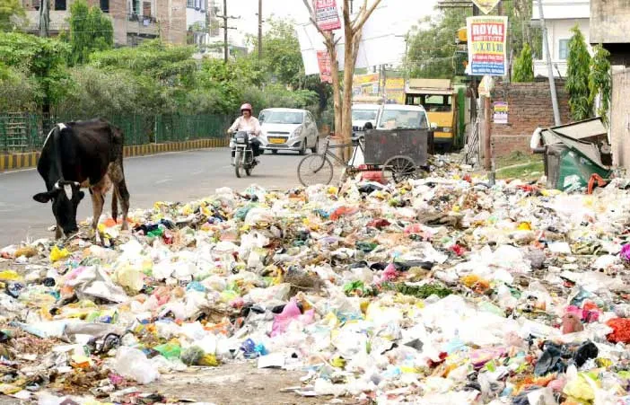 environment