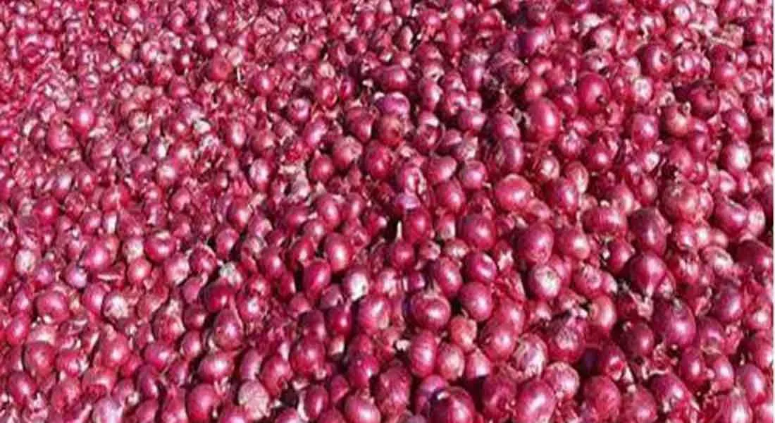  The price of sambar onions is decrease 