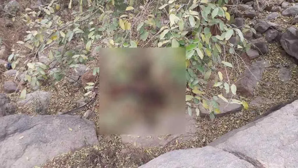 incident in thirupathur... police investigation 