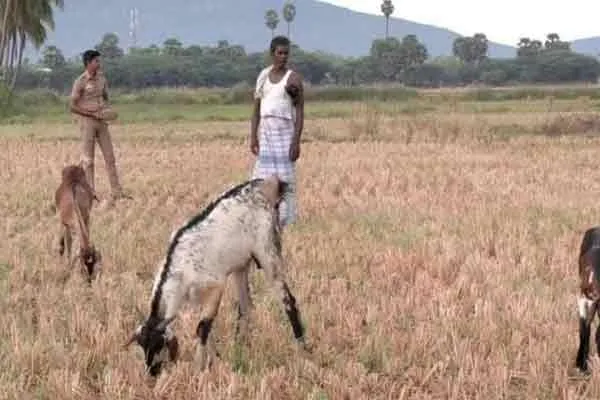 tuticorin agaram village balakrishnan withh police protection viral issue