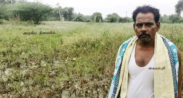 farmer