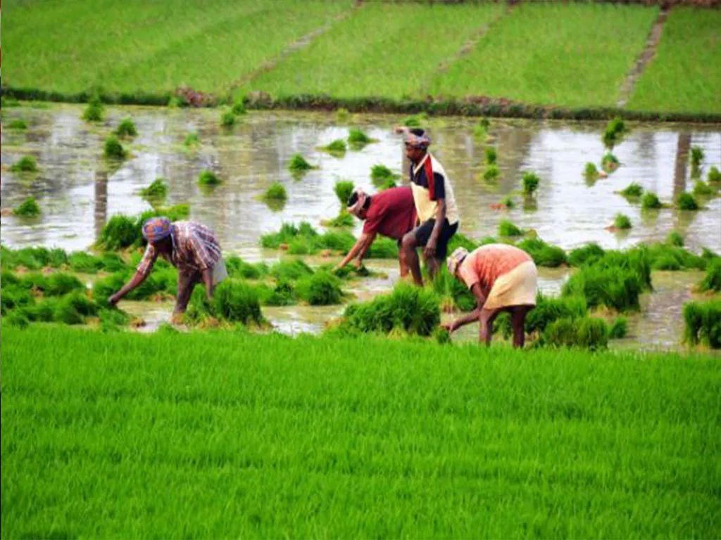 coimbatore farmers and police issue 
