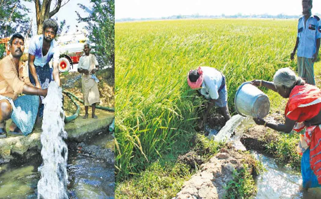 High Court orders, No agricultural loans for Improper activities involving farmers 