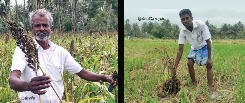 farmers