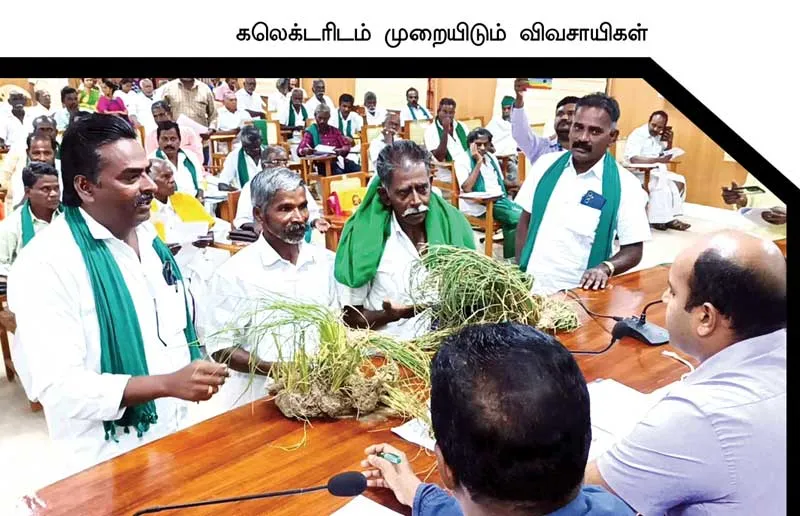 farmers