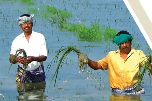 farmers