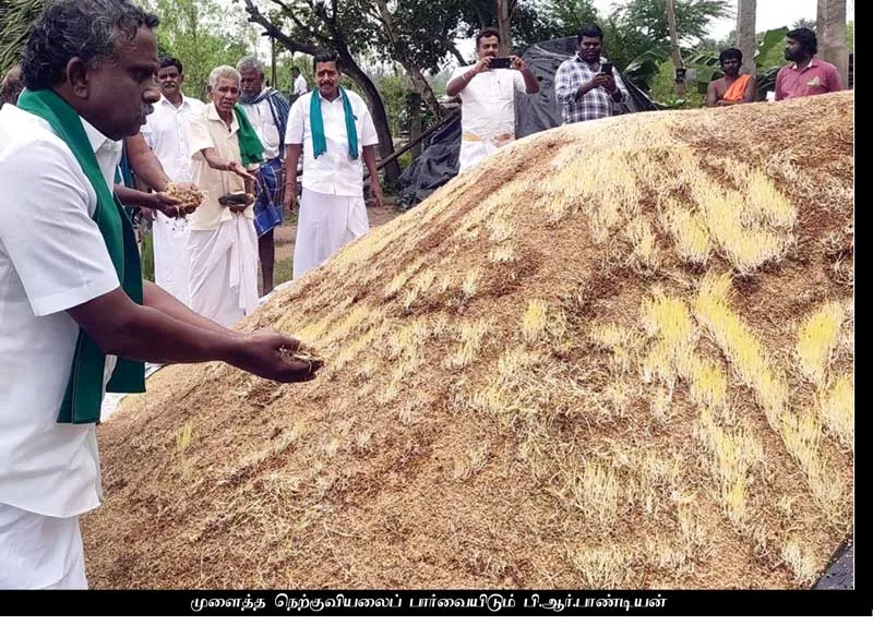 farmers