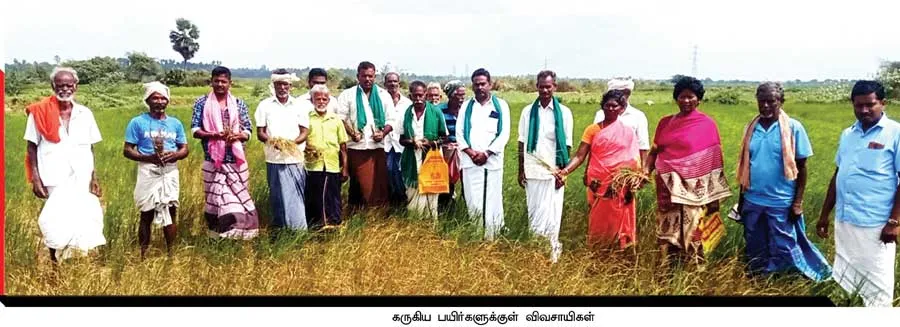 farmers
