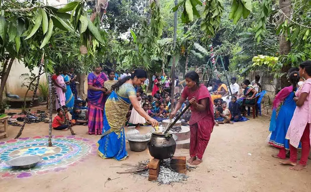 pongal celebrations by alumini in government school