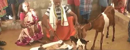 medi