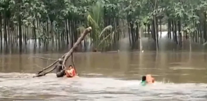 flood 