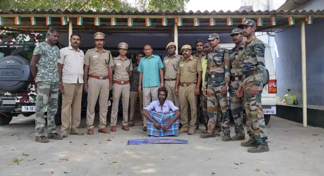  Crocodile hunt ... one arrested