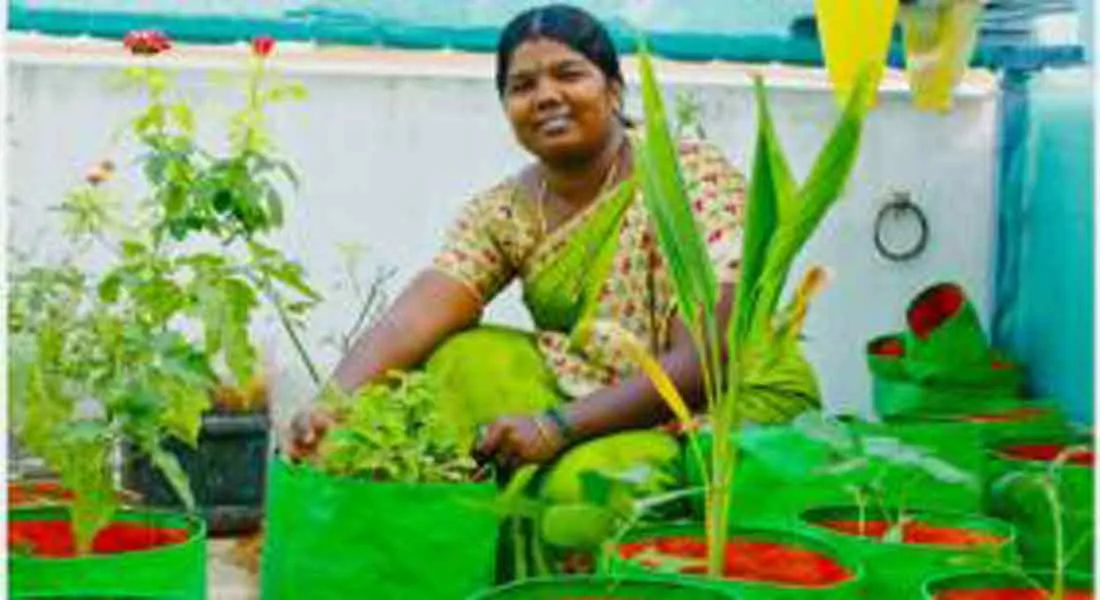 thiruvannamalai 