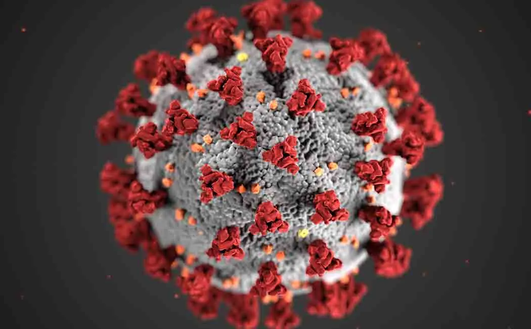 gujarat doctors sequenced the entire genome of the corona virus