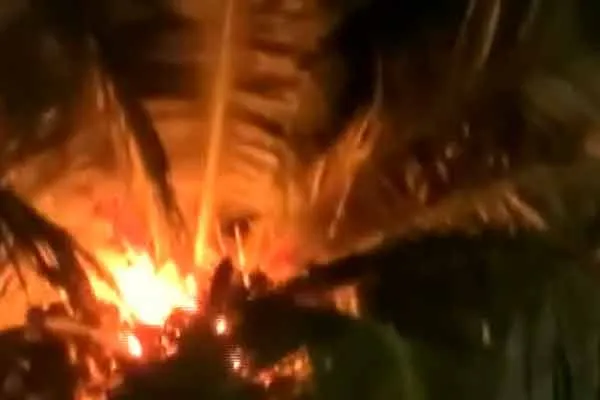 erode east by election councout tree fire incident 