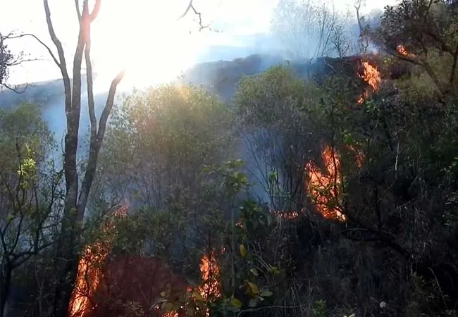 kodaikanal forest area incident forest officers water 