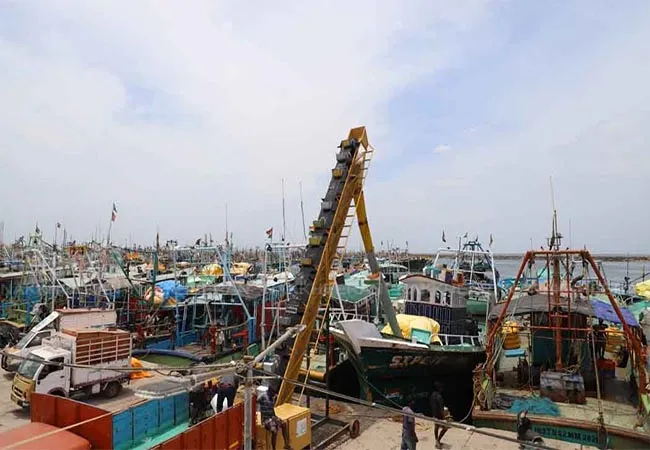 fishermans cuddalore and nagai tn govt 