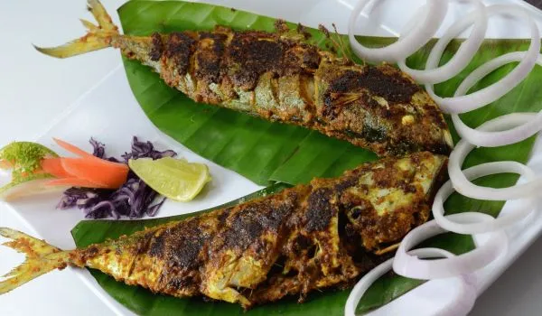 fish food