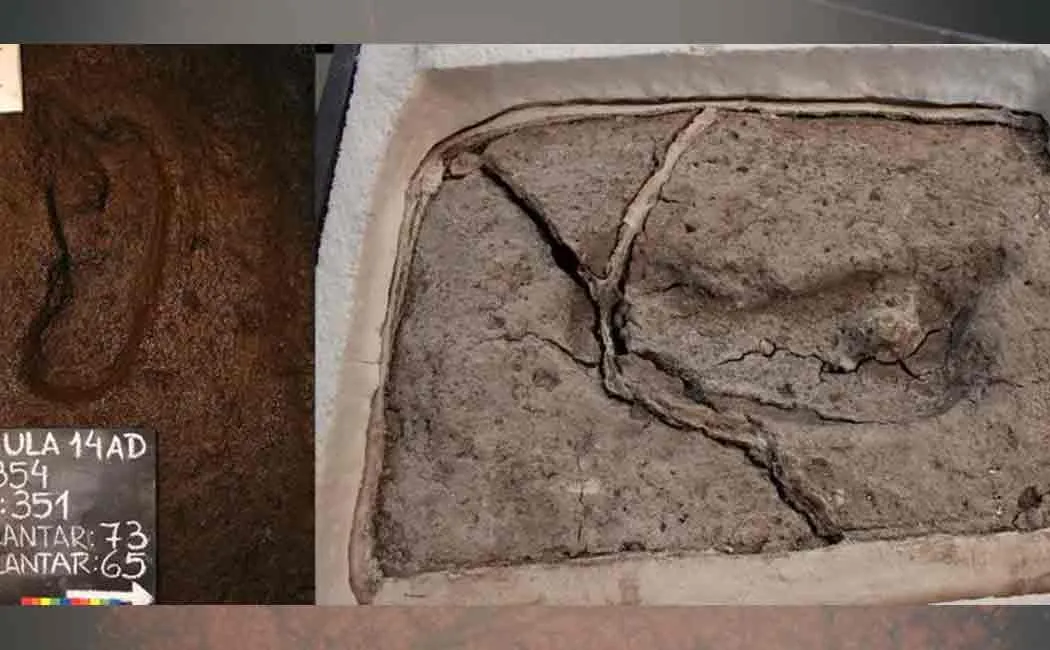 worlds oldest human foot print found in chile
