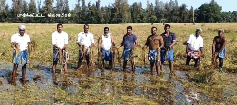 farmers