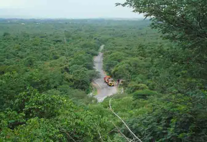 santhiyamangalam forest elephant 