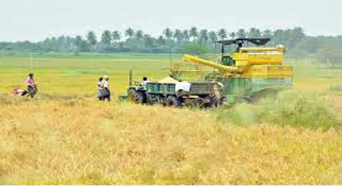 cuddalore 