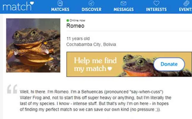 frog